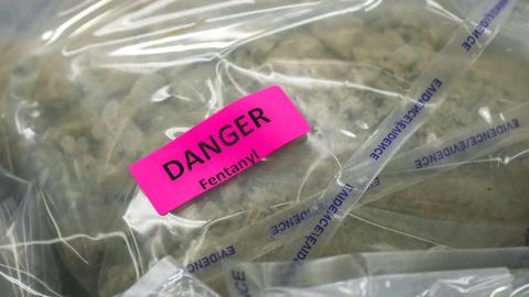 Canada changes regulations for chemicals used to make fentanyl, meth