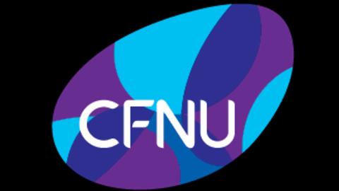 Canada's nurses press for a First Ministers' Meeting in pre-budget submission Canadian Federation of Nurses Unions