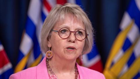 Canadian cruise passenger isolating in B.C. tests 'presumptive positive' for hantavirus