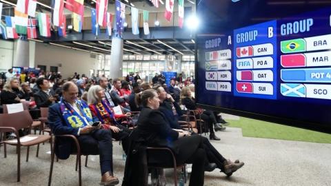 Canadian doctors worry about ER capacity during FIFA world cup