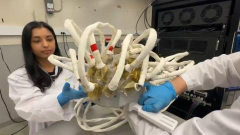 Canadian scientists have brain tumour treatment breakthrough