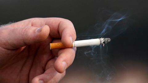 Canadian smoking ban 'being looked into': health minister