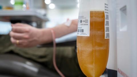 Canadians' plasma is now a liquid asset. Is that ethical? I donated to learn more