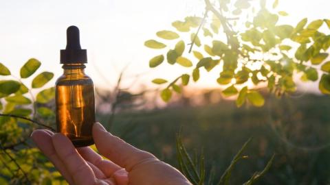 Cancer pseudoscience and the cultural moment