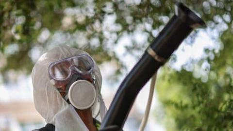 Chikungunya, an excruciating tropical disease, can now be transmitted in most of Europe, study finds