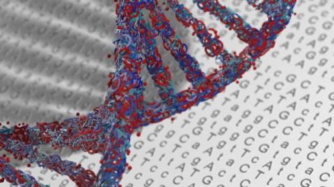 Child dies after receiving new experimental gene therapy