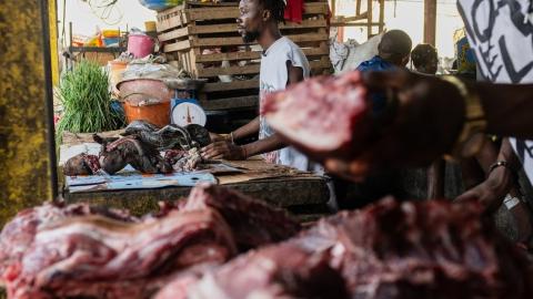 Congo Ebola outbreak highlights risk of hunting, eating wild animals