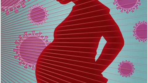 COVID-19 in Pregnancy Linked With Risk of Neurodevelopmental Disorders in Early Childhood