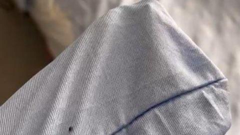 Dying Toronto woman's daughter says she spotted bedbugs in palliative care bed