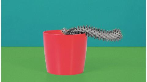 Erectile dysfunction getting you down? Here are three things to know