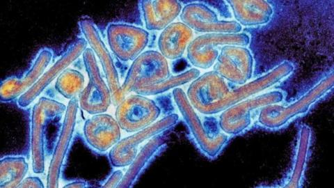 Ethiopia declares the end of its first Marburg virus outbreak