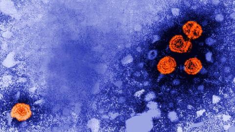 Experimental hepatitis B drug may offer 'functional cure' for some patients