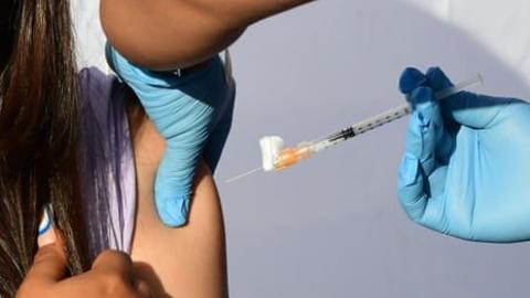 Experts fear for US childhood vaccine schedule after hepatitis B guideline change