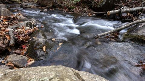 Feds 'covered up' toxic chemicals in the water in this Ontario city for 5 years