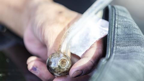 Five people a day died from drug use in B.C. over the summer