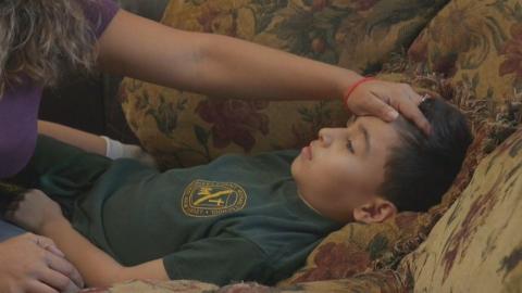 Flu cases doubled in Alberta last week, according to government data