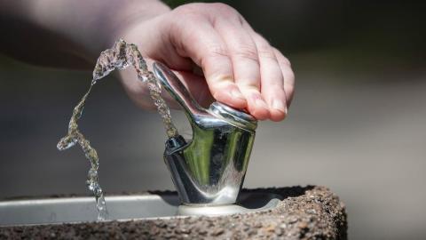 Fluoride in drinking water does not hurt cognition, and might actually help