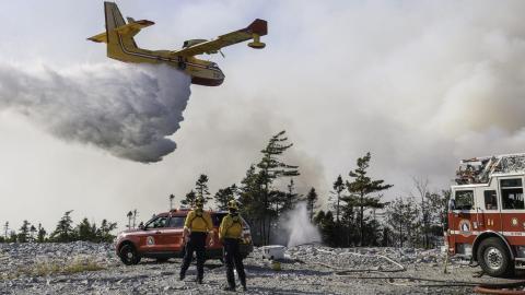 Forest fire travel ban backlash demonstrates lack of investment in trust post-COVID, says public health expert