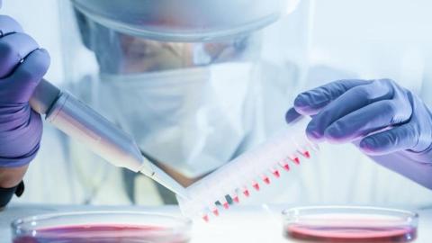 GAO calls for greater transparency on high-risk pathogen research