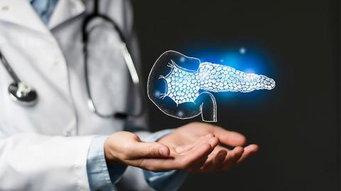 Gene-Edited Immune-Evasive Islet Cells Show Promise in Type 1 Diabetes Trial