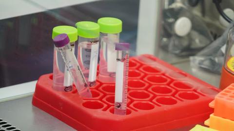 Genmab scraps development of experimental cancer therapy