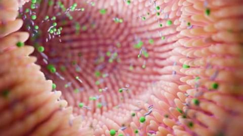 Gut microbiome can reveal risk of Parkinson's, scientists say