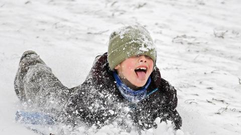 Head injuries are the most common sledding injury for children, study finds
