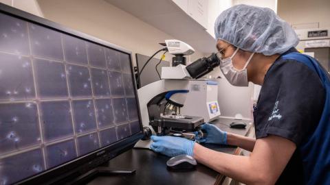 Health Canada drops final barriers to sperm donation by gay and bisexual men