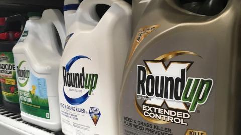 Health Canada said this controversial pesticide is safe. Behind the scenes, the agency has ramped up its monitoring