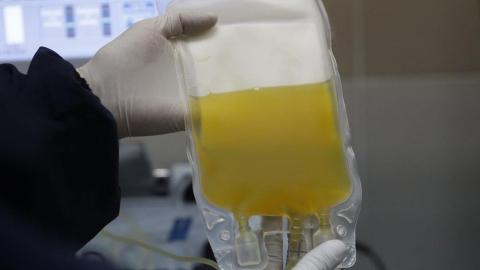 Health Canada says no link so far in review of two deaths of plasma donors in Winnipeg