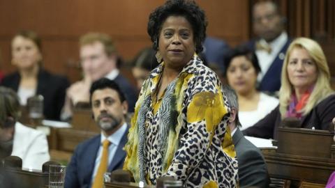 Health minister says Canada can't rely on U.S. health institutions anymore