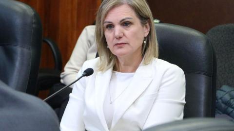 Health minister says government made decision to terminat CEO