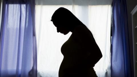 How a top-tier surrogacy agency became an FBI target