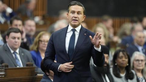 How COVID-era 'freedom' politics still shape — and challenge — Pierre Poilievre's Conservatives