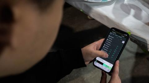 How online sports betting risks turning more B.C. teens into gambling addicts