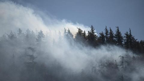 How to read Environment Canada's air quality index and find out if you're at risk
