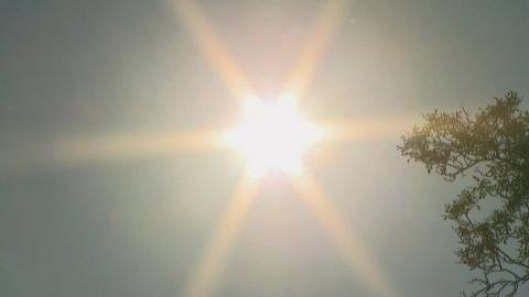 Improvements and enduring risks 4 years after B.C. heat dome