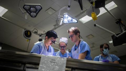 Inside a university anatomy lab where researchers study bodies Canadians have donated to science