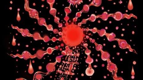 Is period blood 'the most overlooked opportunity' in women's health?