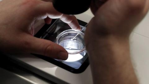 IVF funding in Canada left out of Mark Carney's budget, despite Liberal campaign promises