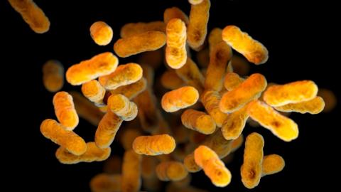 Kentucky reports third whooping cough infant death