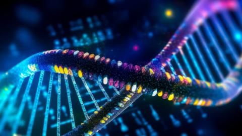 Landmark genome study fills DNA gaps in boost to precision medicine