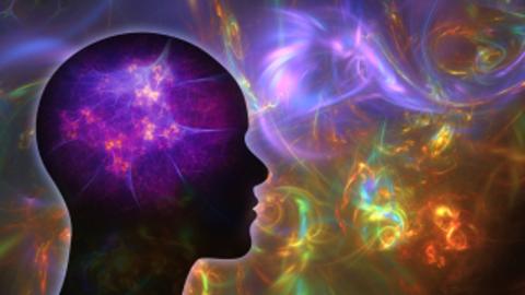 Largest-ever study of psychedelics could help advance their use in treating mental health disorders