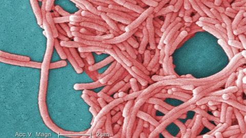 Legionnaires' disease outbreak in London, Ont., declared over: health unit