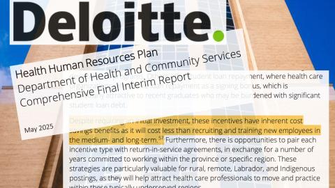 Major N.L. healthcare report contains errors likely generated by A.I.