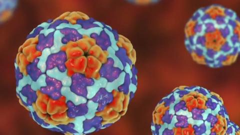 Manitoba health officials say ongoing hepatitis A outbreak has worsened - Winnipeg