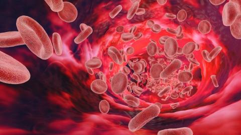 McGill researchers develop 'life-saving' way to stop bleeding fast