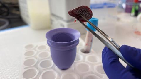 McMaster research targets menstrual cup 'mess' with absorbent tablets to tackle period stigma