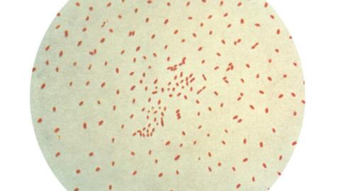 Medical schools must prepare tomorrow’s doctors for yesterday’s diseases