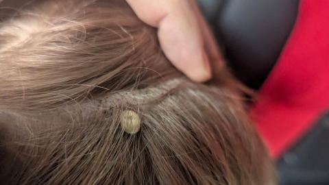 Merritt father warns others after medical emergency involving his young son